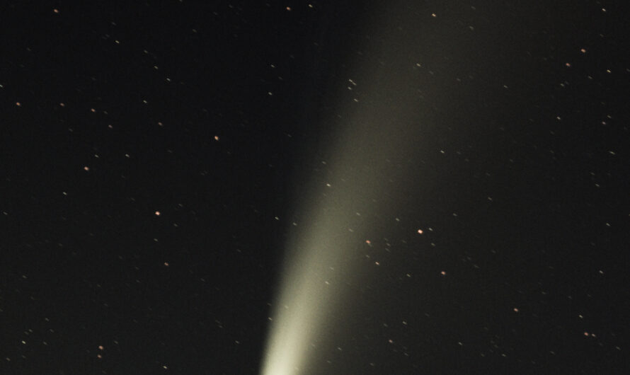Komet C/2020 F3 Neowise