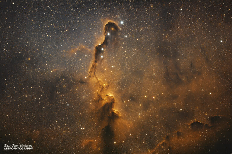 Der Elefantenrüsselnebel – Im Herzen des Kepheus