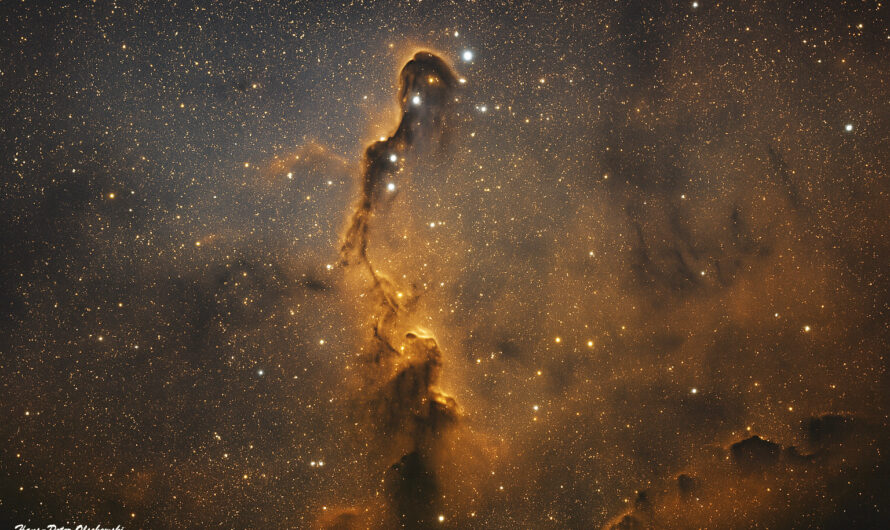 Der Elefantenrüsselnebel – Im Herzen des Kepheus